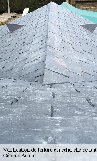 Vérification de toiture et recherche de fuite Côtes-d'Armor