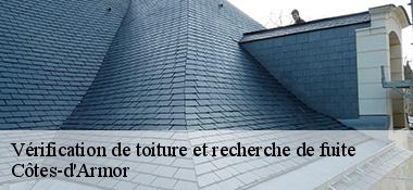 Vérification de toiture et recherche de fuite Côtes-d'Armor
