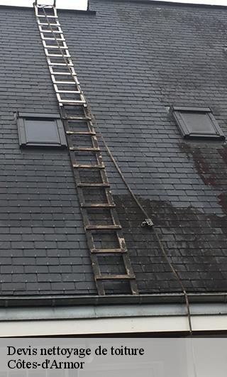 Devis nettoyage de toiture Côtes-d'Armor