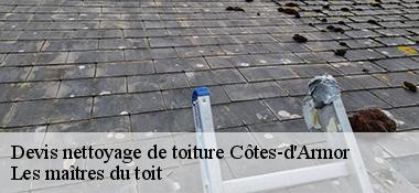 Devis nettoyage de toiture Côtes-d'Armor