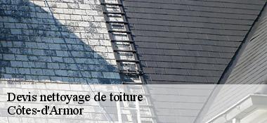 Devis nettoyage de toiture Côtes-d'Armor