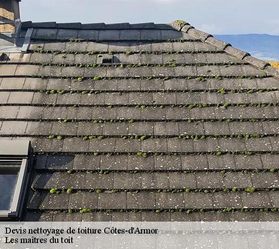 Devis nettoyage de toiture Côtes-d'Armor