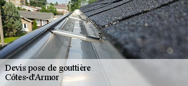 Devis pose de gouttière Côtes-d'Armor