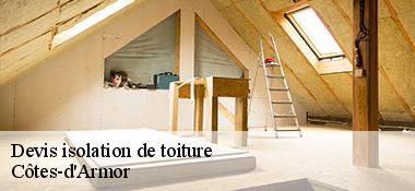 devis-isolation-de-toiture