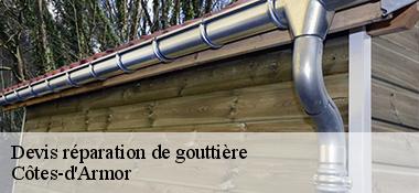 Devis réparation de gouttière Côtes-d'Armor