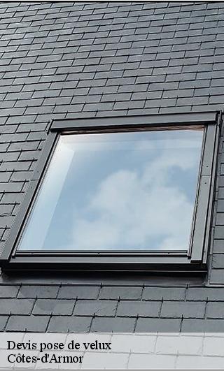 Devis pose de velux Côtes-d'Armor