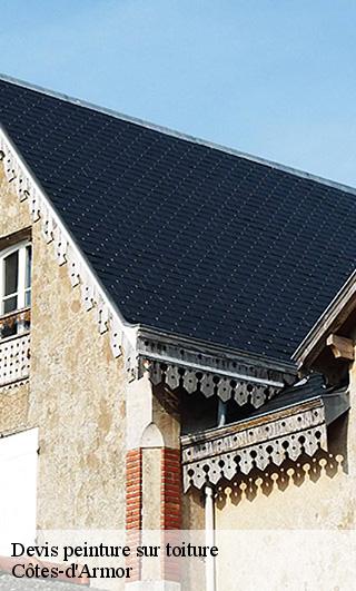 Devis peinture sur toiture Côtes-d'Armor