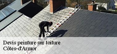 Devis peinture sur toiture Côtes-d'Armor