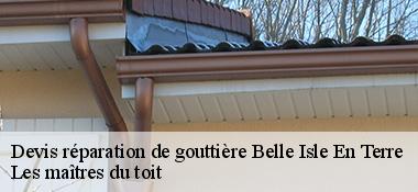 Devis réparation de gouttière  22810