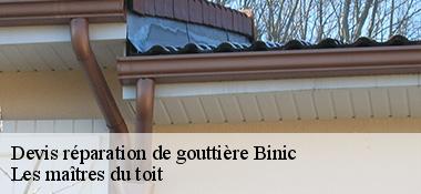 Devis réparation de gouttière 22520