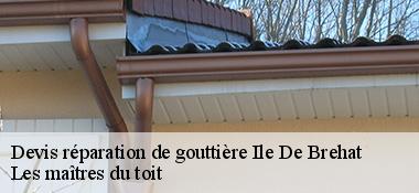 Devis réparation de gouttière  22870