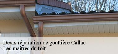 Devis réparation de gouttière  22160
