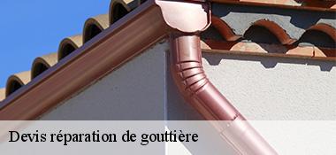 Devis réparation de gouttière 22160