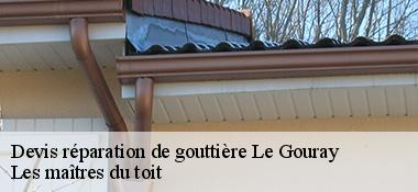 Devis réparation de gouttière  22330