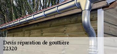 Devis réparation de gouttière  22320