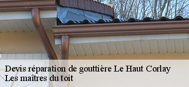 devis-reparation-de-gouttiere