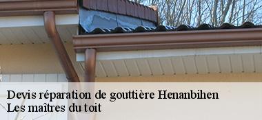 Devis réparation de gouttière  22550