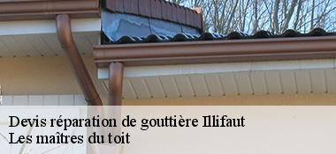 Devis réparation de gouttière  22230