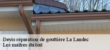 Devis réparation de gouttière  22980