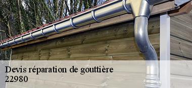 Devis réparation de gouttière  22980