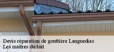 Devis réparation de gouttière  22980