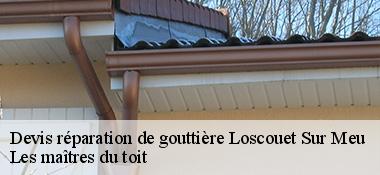 Devis réparation de gouttière  22230