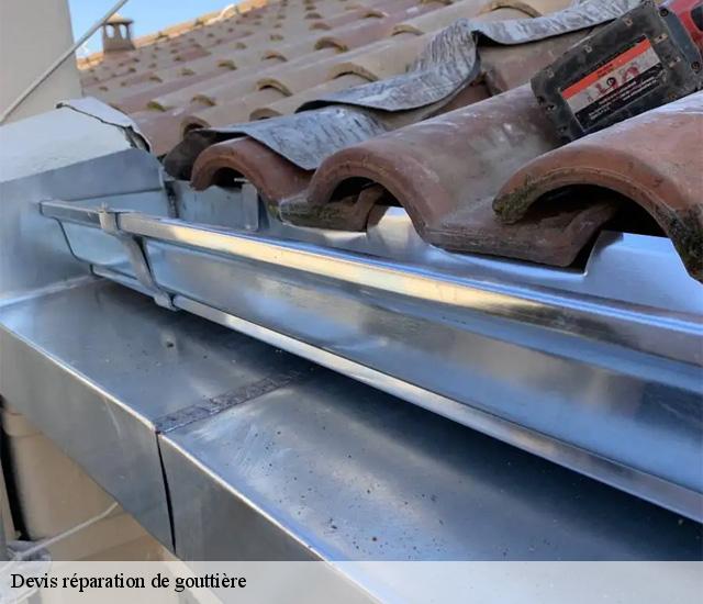 Devis réparation de gouttière  22700