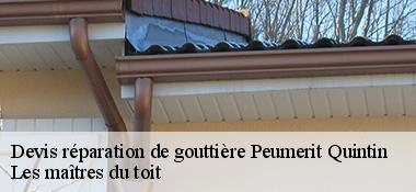 Devis réparation de gouttière  22480