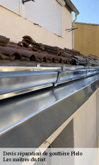 Devis réparation de gouttière  22170