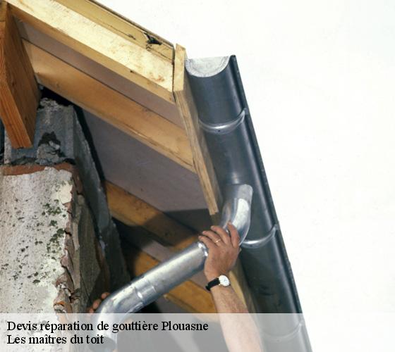 Devis réparation de gouttière  22830