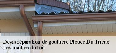 Devis réparation de gouttière  22260