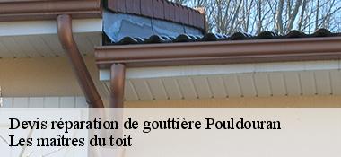 Devis réparation de gouttière  22450