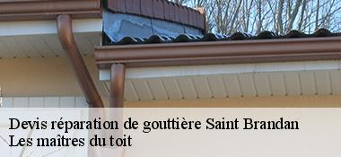Devis réparation de gouttière 22800