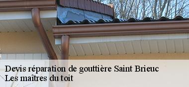 Devis réparation de gouttière 22000