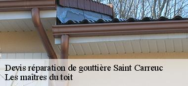 Devis réparation de gouttière 22150