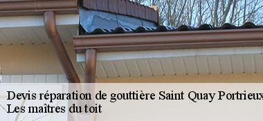 Devis réparation de gouttière  22410