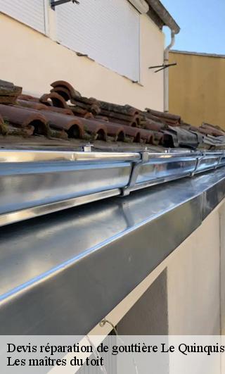 Devis réparation de gouttière  22540