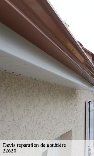 Devis réparation de gouttière  22620