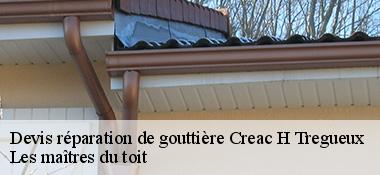 Devis réparation de gouttière  22950