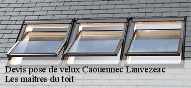Devis pose de velux  22300