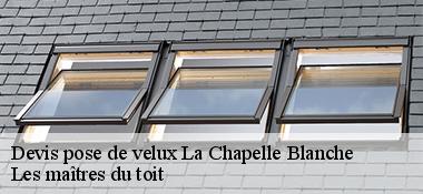 Devis pose de velux  22350
