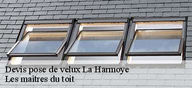 Devis pose de velux 22320