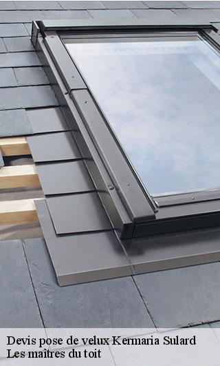 Devis pose de velux 22450