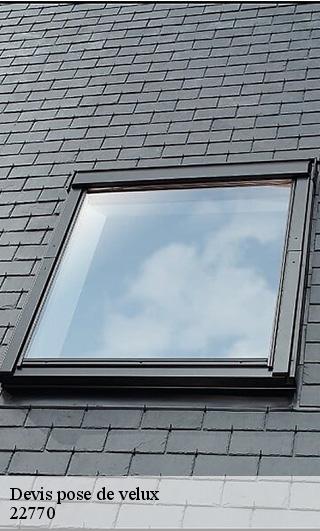 Devis pose de velux  22770
