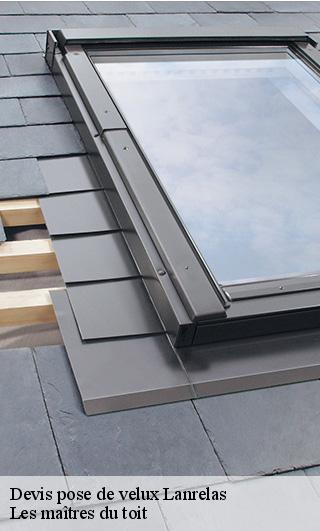 Devis pose de velux 22250