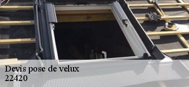 Devis pose de velux 22420