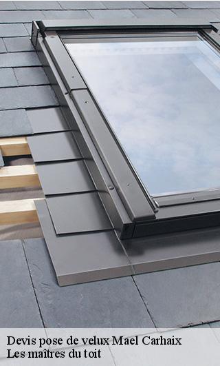 Devis pose de velux  22340