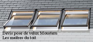 Devis pose de velux 22200
