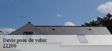 Devis pose de velux 22200