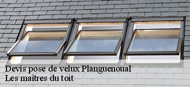 Devis pose de velux  22400